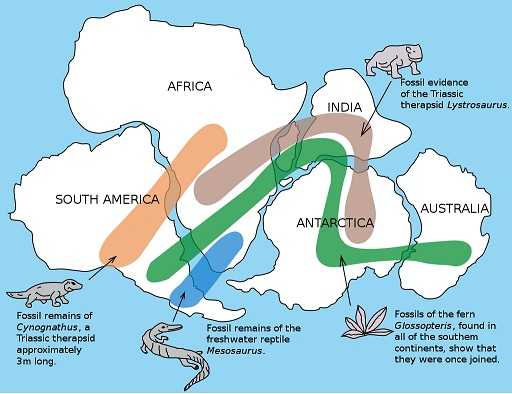 महाद्वीपीय विस्थापन सिद्धांत [continental drift theory]